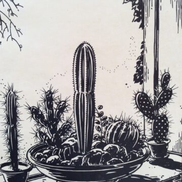 A wood cut of cactus in bowls on a window sill.
