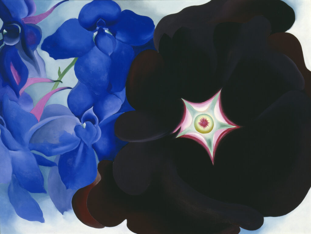 Large magnified flowers on a horizontal canvas. The maroonish black petals of the hollyhock fill entire right side of the picture plain, with the smaller blue larkspur flowers covering the rest of the canvas on the left.