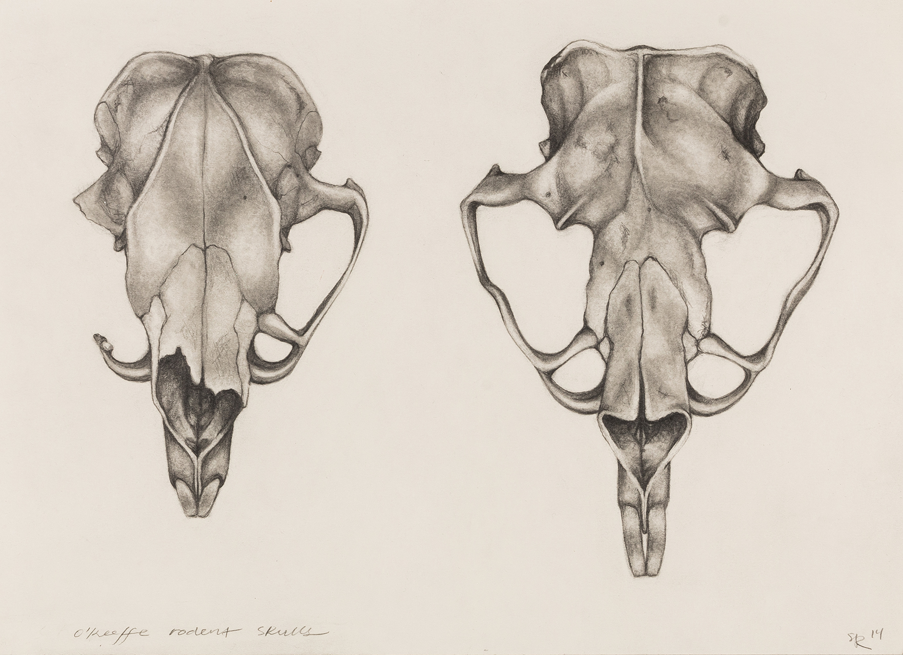 o keeffe drawings