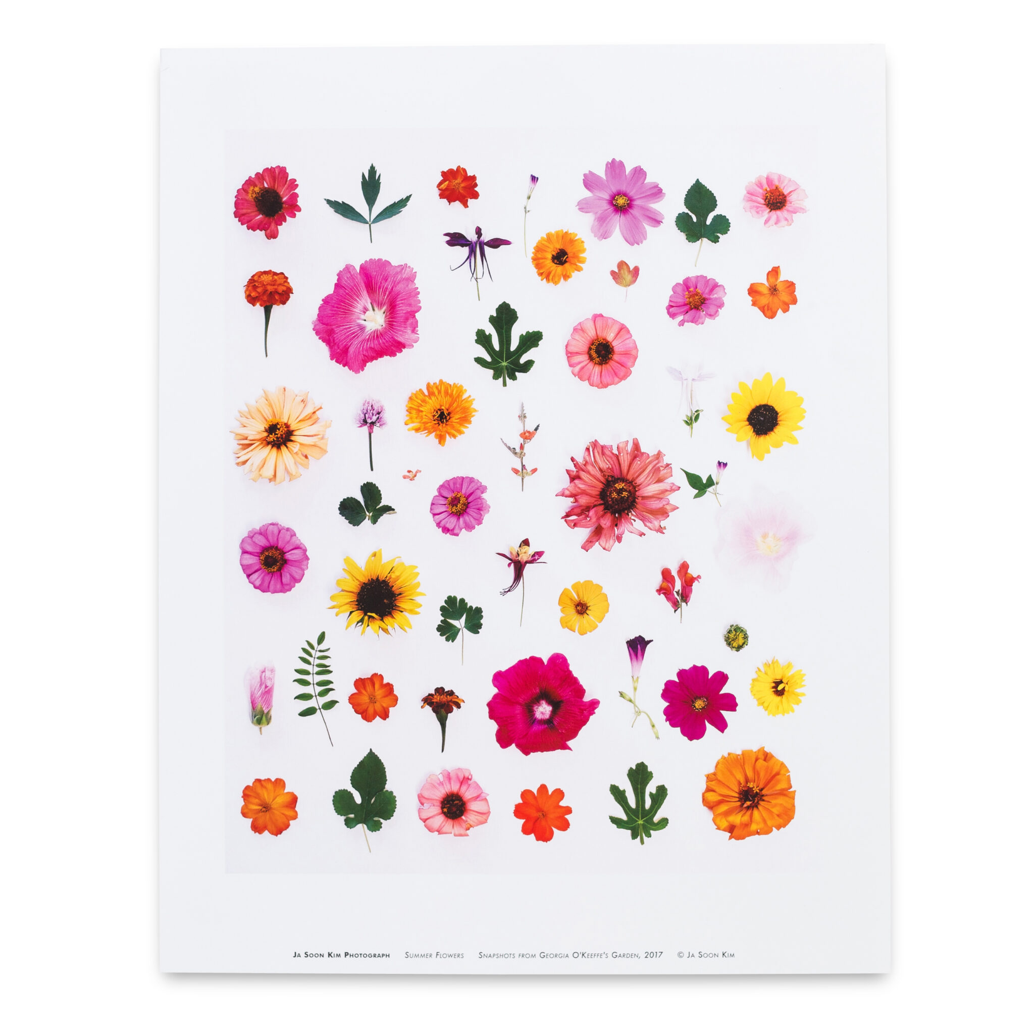 Hitching a Ride to Abiquiu The O'Keeffe Museum