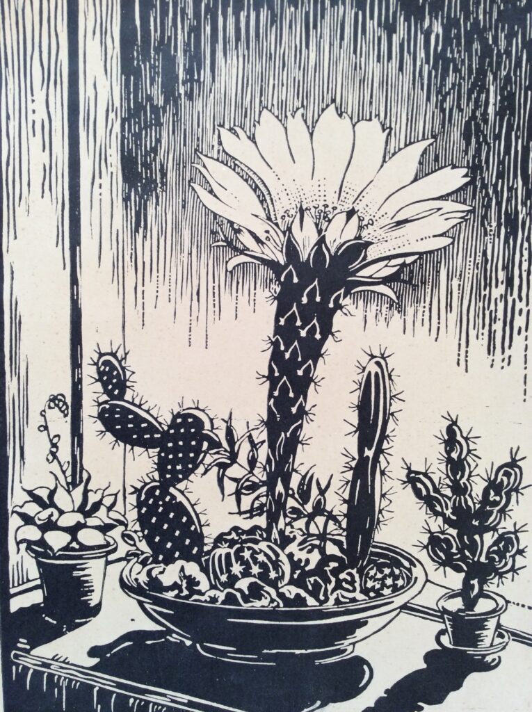 “Cactussen” or Cacti, is a typical Dutch, raw , no nonsense woodcut print by Cornelis Rol and his son Hendricus (Cor en Henk) This robust 85 year old artwork measures 28 cm x 20,5 cms and was produced around 1930-1935. The print has some light foxing and yellowing and has been cleaned. On the left margin the print has a little reinforced area (with kozo paper) that is almost invisible outside the margins of this wonderful woodcut.