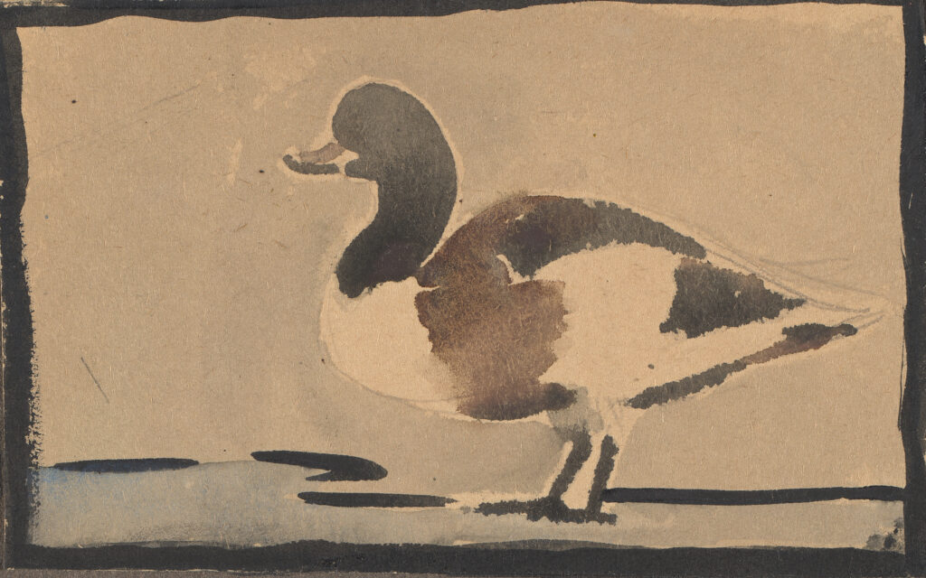 Left profile view of a duck with a black border on the paper.