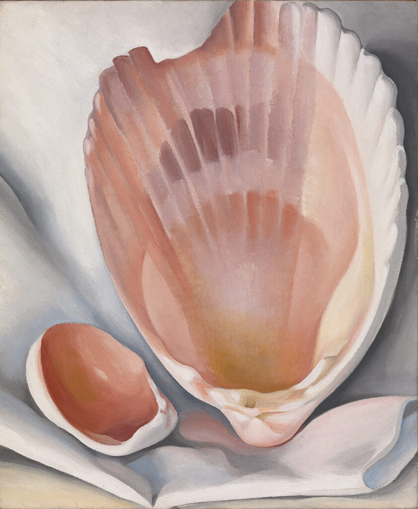 Large pinkish/orange shell that dominates most of the canvas, with a much smaller shell beside it on the lower left. Both are oval in shape and open to their undersides, exposing the dark glossy pink of the inside of a shell. They are nestled on a white cloth or tissue paper that has folds suggesting a depth, as if the objects are in a box. The larger shell is chipped on it's upper left tip.