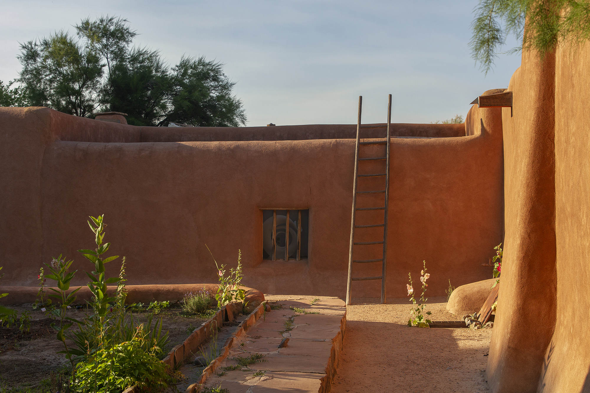 Photograph of O'Keeffe's home in Abiquiú where an adobe wall with a window in the center sits behind a raised green garden. On the wall leans a wooden ladder. Behind the adobe wall a tree and blue sky is visible.