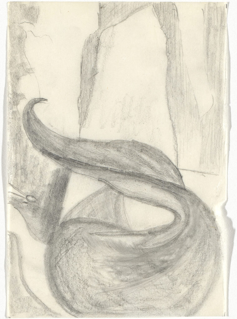 Vertical canvas with asketch of a twisting stem rising out and up. From behind this is a leaf-like shape that points upwards. In the lower left corner is a grey leaf-like extension on black.