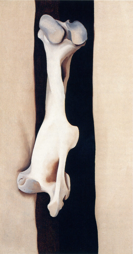 A painting of a pelvic bone depicted against a contrasting black and beige background.