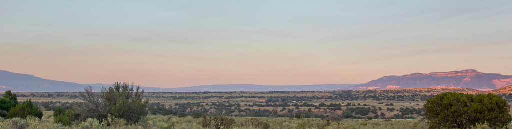 Photograph of a desert landscape with green bushes in the landscape and some dark blue and purple mountains in the distance.