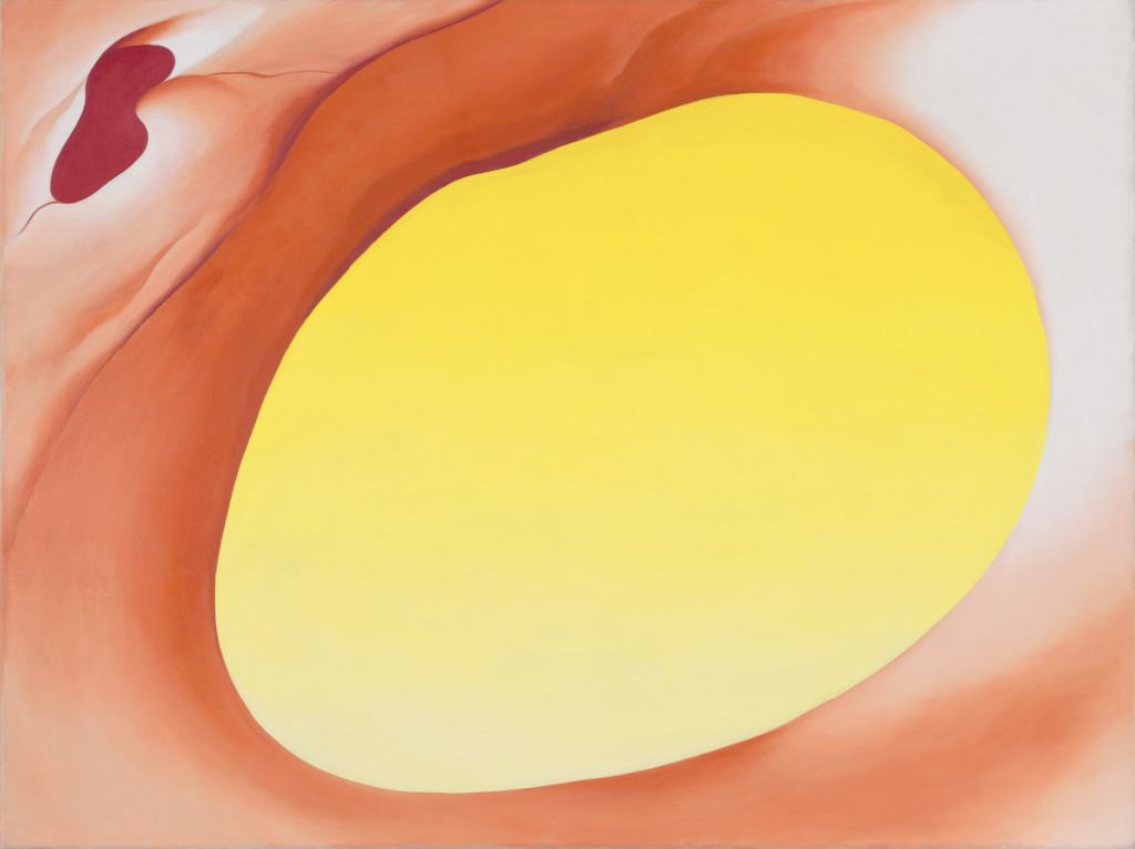 Large horizontal canvas of magnified pelvic bone in reddish orange. Emphasis is on the oval hole in the pelvis, the empty space of which fills the majority of the canvas in yellow.