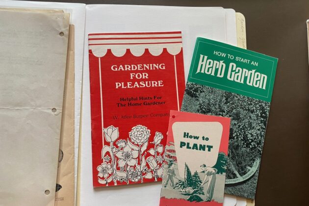 Three pamphlets about how to plant, gardening for pleasure and how to start a herb garden laying on blank sheets of paper.