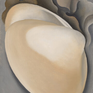 Much of this small painting is occupied by a large tan clam shell. The shell seems to be partially open, and it offers a glimpse inside along its upper edge. The shell's hinge lies near the right side of the work. Branches of seaweed swirl behind the shell along the upper edge of the painting.