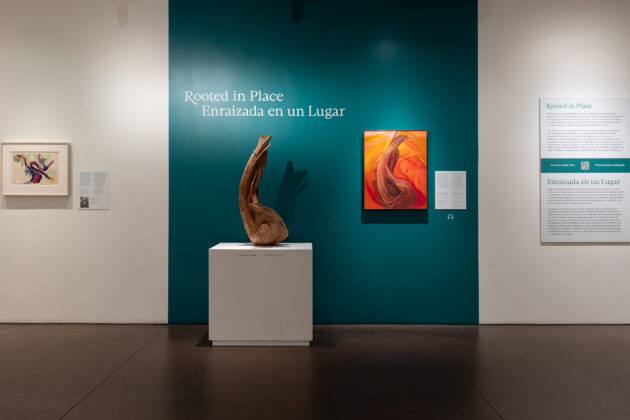 Photograph of a wooden stump on a white pedestal near a painting by O'Keeffe of the same stump on a red and gold background. Behind the stump and the painting are a dark teal wall and the title 'Rooted in Place/Enraizada en un Lugar'. To the left is another O'Keeffe painting of a trees and to the right is a panel with some text.