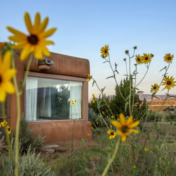 Photograph of the exterior of an adobe home with several windows. Behind the home is a mountain across the horizon and a clear blue sky. Several yellow sunflowers in the foreground.