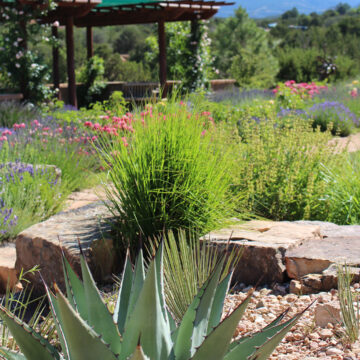 A botanical garden with a vibrant cactus in the foreground, adding a touch of color and texture to the landscape.