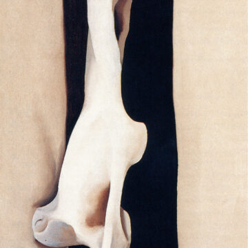 A painting of a pelvic bone depicted against a contrasting black and beige background.