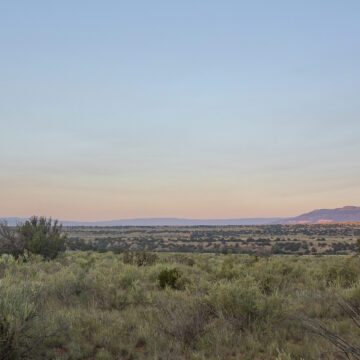 Photograph of a desert landscape with green bushes in the landscape and some dark blue and purple mountains in the distance. A small full moon is visible in the blue sky.