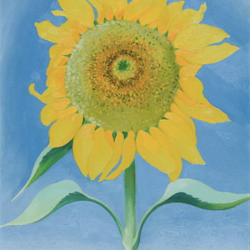 A close-up, enlarged depiction of a large sunflower with yellow petals, a yellow, gold, and green center, and a long green stem and leaves. The large sunflower takes up the entire canvas and is painted against a light blue background.