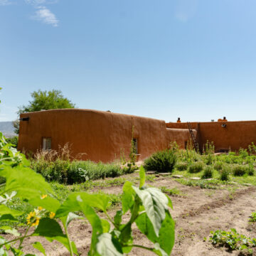 Photograph of an adobe home with garden rows in the foreground and a blue sky above. The left side of the frame is covered by the green leaves of a tree.