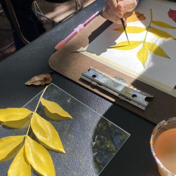 Photograph of a person's hands as they paint leaves with watercolors in golden hues. Next to them are real leaves as a subject