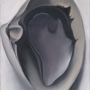 In this small painting, a mussel shell rests inside a clam shell. The inner sides of both shells are visible to the viewer. The clam shell is light in color. Its hinge touches the left side of the canvas. The mussel shell is darker in color, and much of its visible inner side reflects its characteristic pearlesque luster.