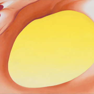 Large horizontal canvas of magnified pelvic bone in reddish orange. Emphasis is on the oval hole in the pelvis, the empty space of which fills the majority of the canvas in yellow.