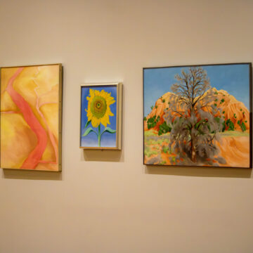 Five framed paintings by Georgia O'Keeffe, one of a sunflowers, one of a tree in a desert landscape, one of a river from above, on a beige wall.