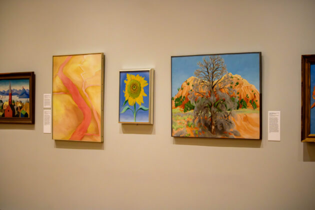 Five framed paintings by Georgia O'Keeffe, one of a sunflowers, one of a tree in a desert landscape, one of a river from above, on a beige wall.